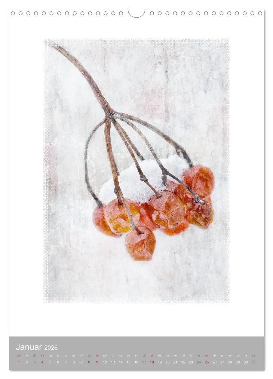 Bild: 9783516456462 | Kunstwerk Natur (Wandkalender 2026 DIN A3 hoch), CALVENDO...