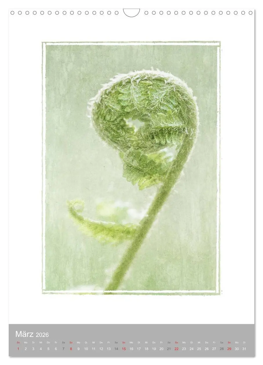 Bild: 9783516456462 | Kunstwerk Natur (Wandkalender 2026 DIN A3 hoch), CALVENDO...