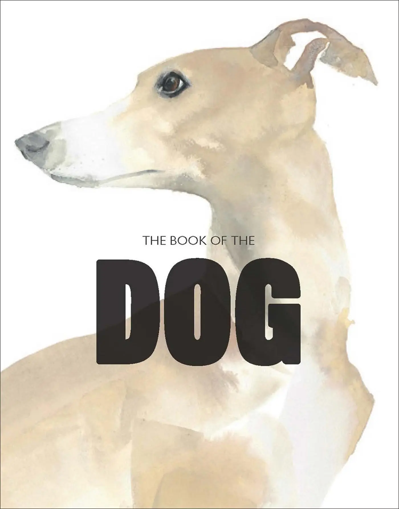 Cover: 9781780676562 | The Book of the Dog | Angus Hyland (u. a.) | Taschenbuch | 160 S.