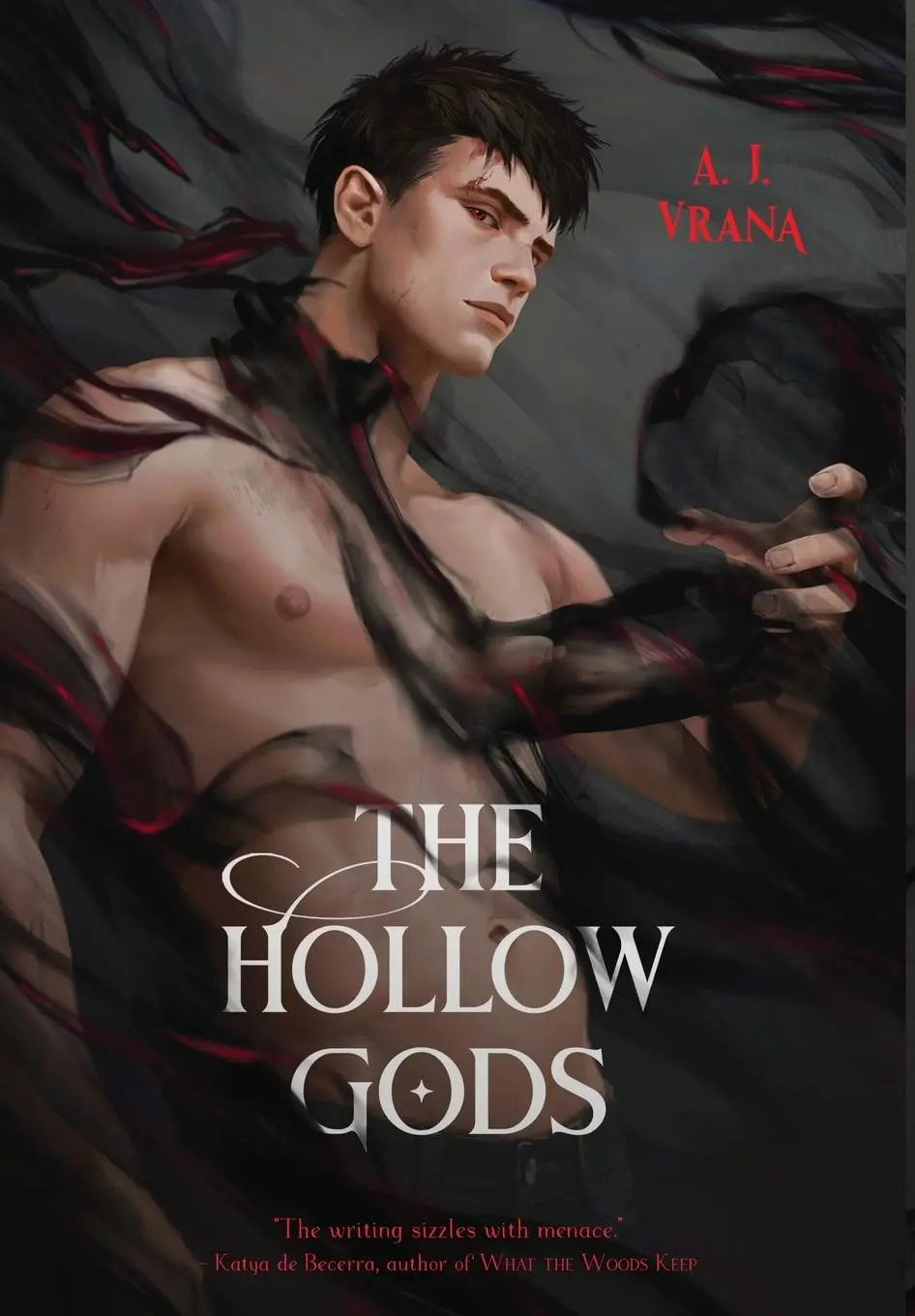 Cover: 9781956136562 | The Hollow Gods | A J Vrana | Buch | Gebunden | Englisch | 2023
