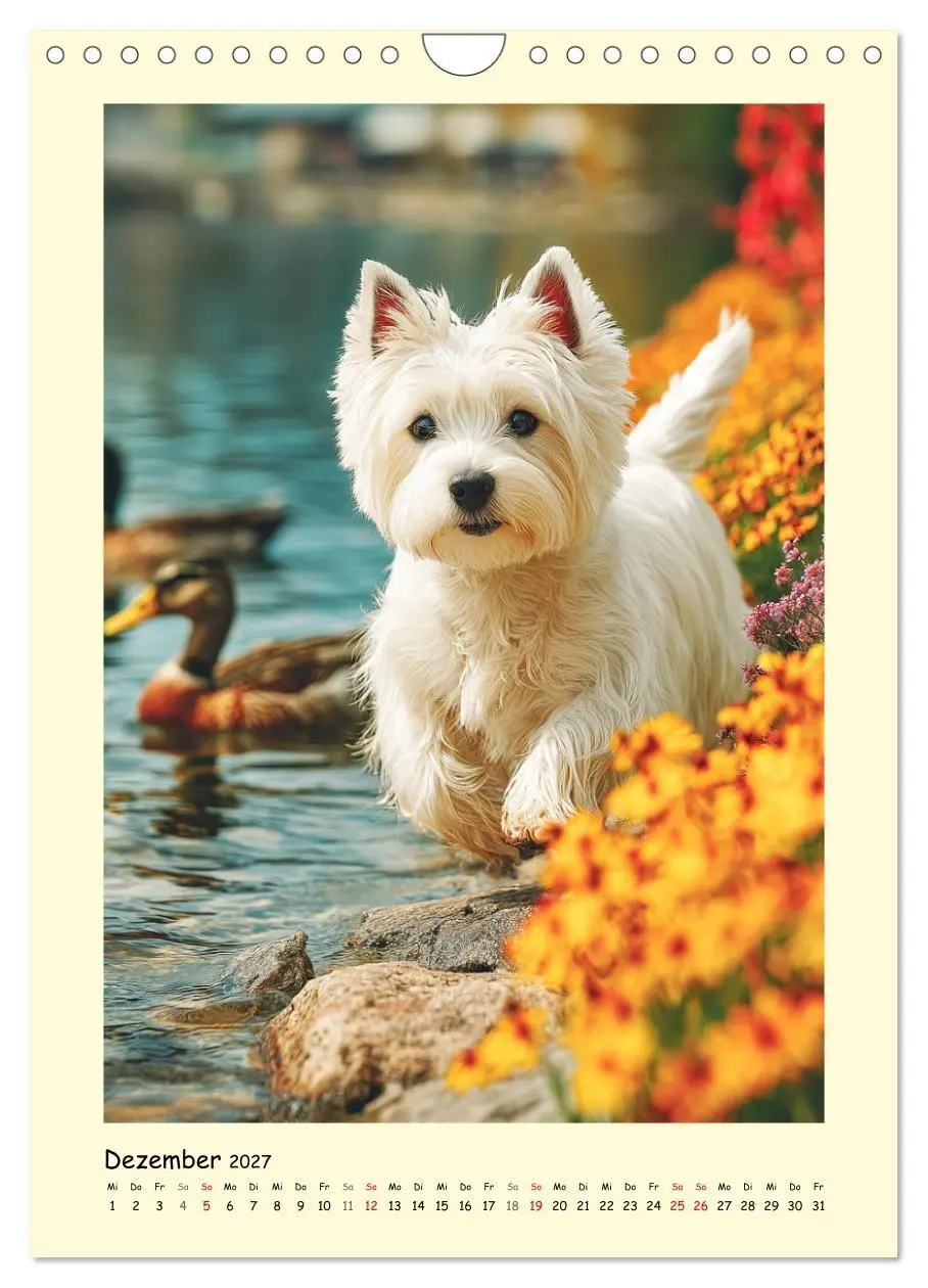 Bild: 9783516756562 | Süßer Wuschelkopf. West Highland White Terrier Momente...