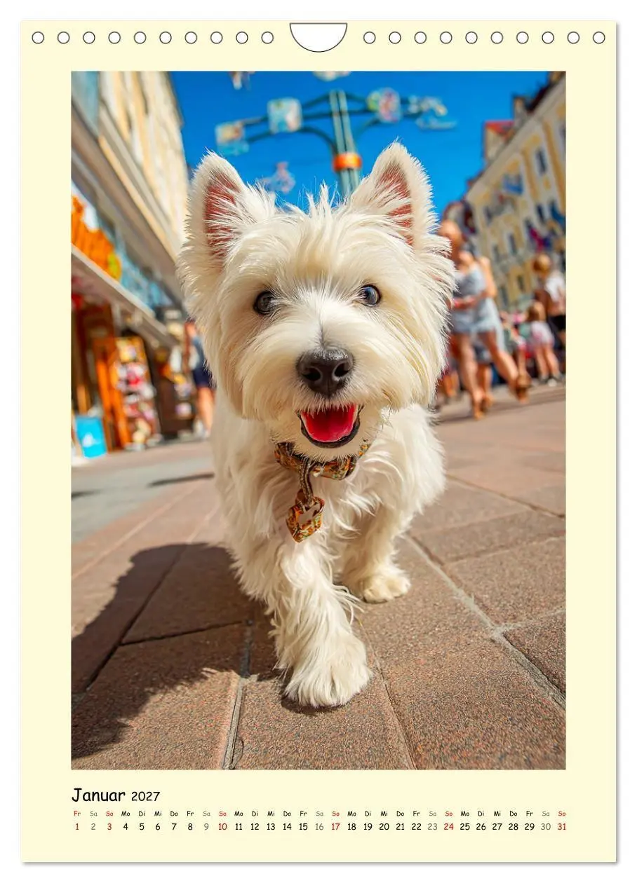 Bild: 9783516756562 | Süßer Wuschelkopf. West Highland White Terrier Momente...