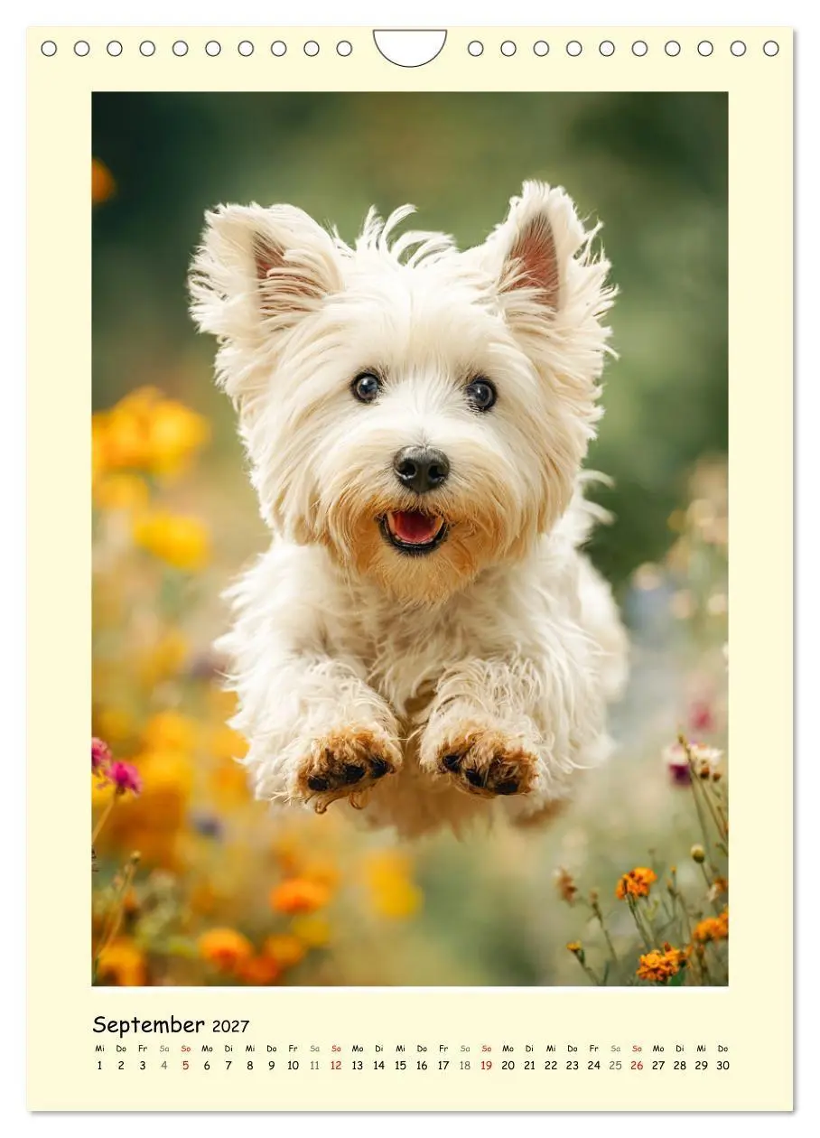 Bild: 9783516756562 | Süßer Wuschelkopf. West Highland White Terrier Momente...