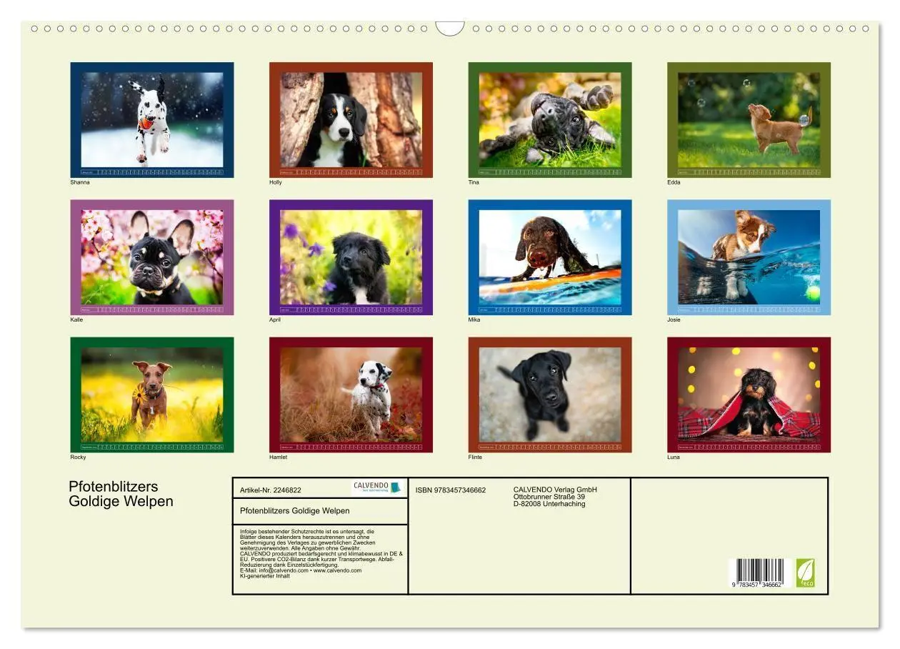 Bild: 9783457346662 | Pfotenblitzers Goldige Welpen (Wandkalender 2026 DIN A2 quer),...