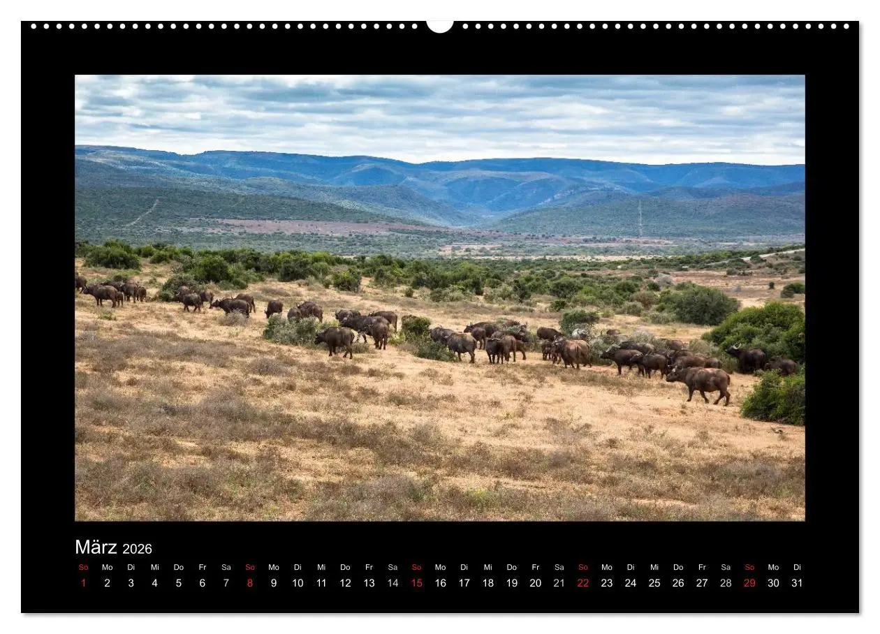 Bild: 9783516676662 | Südafrika - Garden Route (Wandkalender 2026 DIN A2 quer), CALVENDO...
