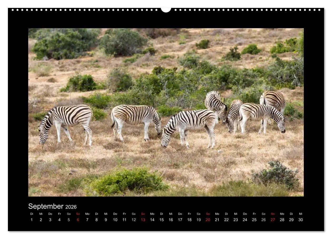 Bild: 9783516676662 | Südafrika - Garden Route (Wandkalender 2026 DIN A2 quer), CALVENDO...