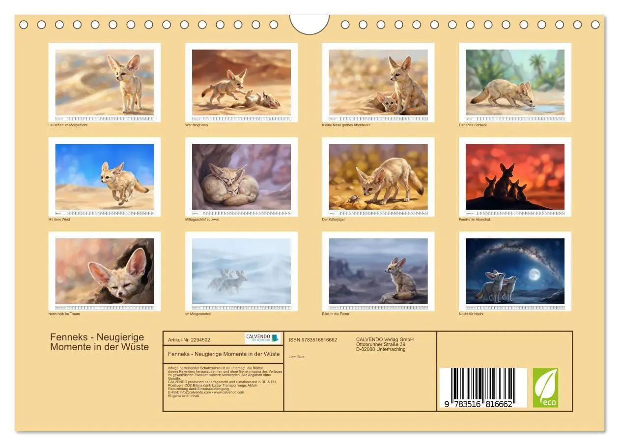 Bild: 9783516816662 | Fenneks - Neugierige Momente in der Wüste (Wandkalender 2027 DIN A4...