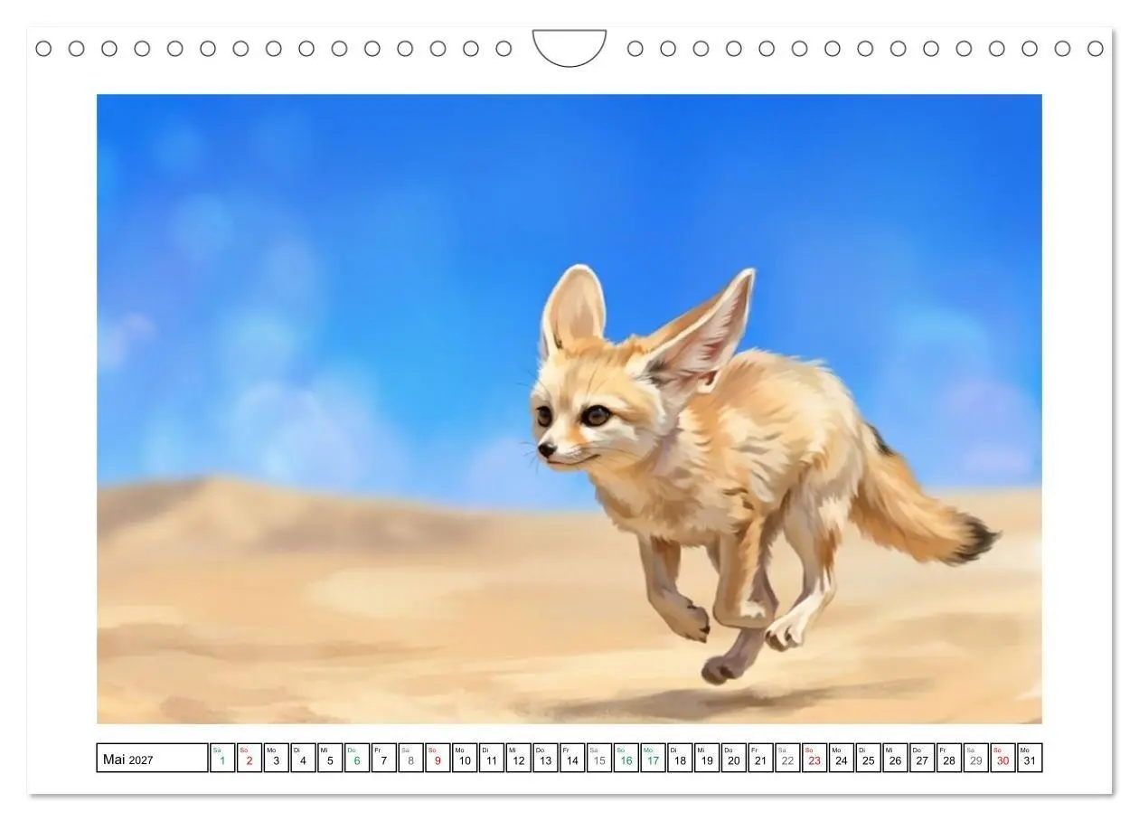 Bild: 9783516816662 | Fenneks - Neugierige Momente in der Wüste (Wandkalender 2027 DIN A4...