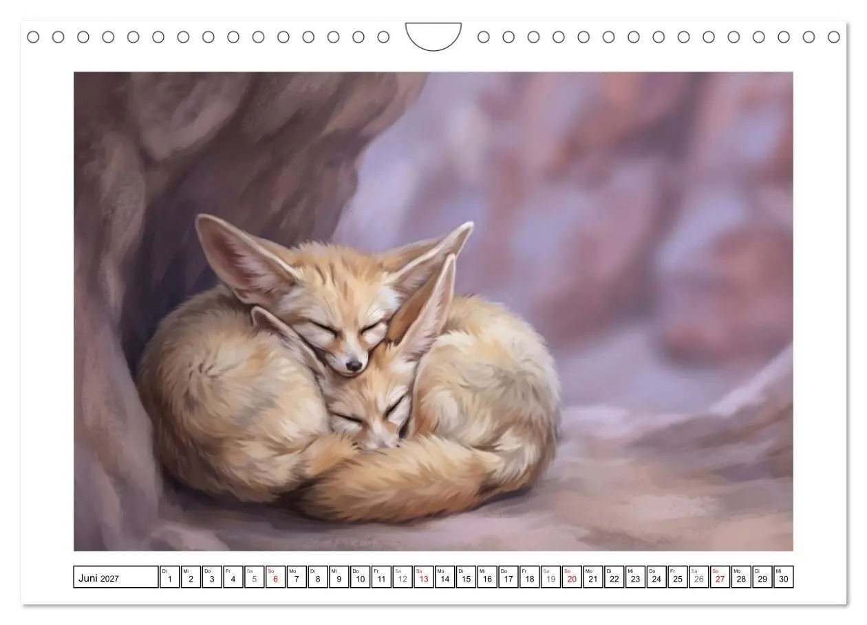 Bild: 9783516816662 | Fenneks - Neugierige Momente in der Wüste (Wandkalender 2027 DIN A4...