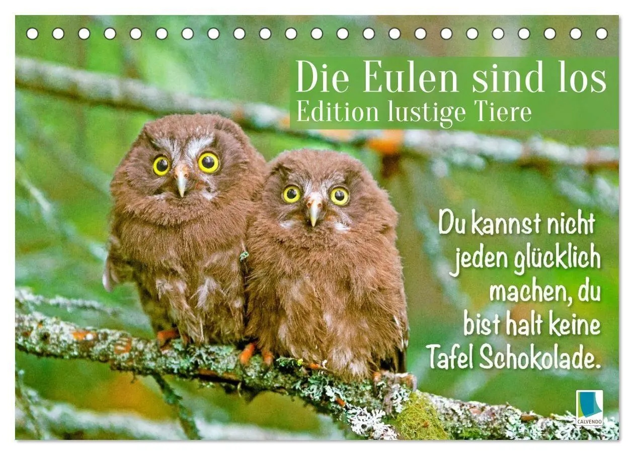 Cover: 9783516986662 | Die Eulen sind los: Edition lustige Tiere (Tischkalender 2027 DIN...