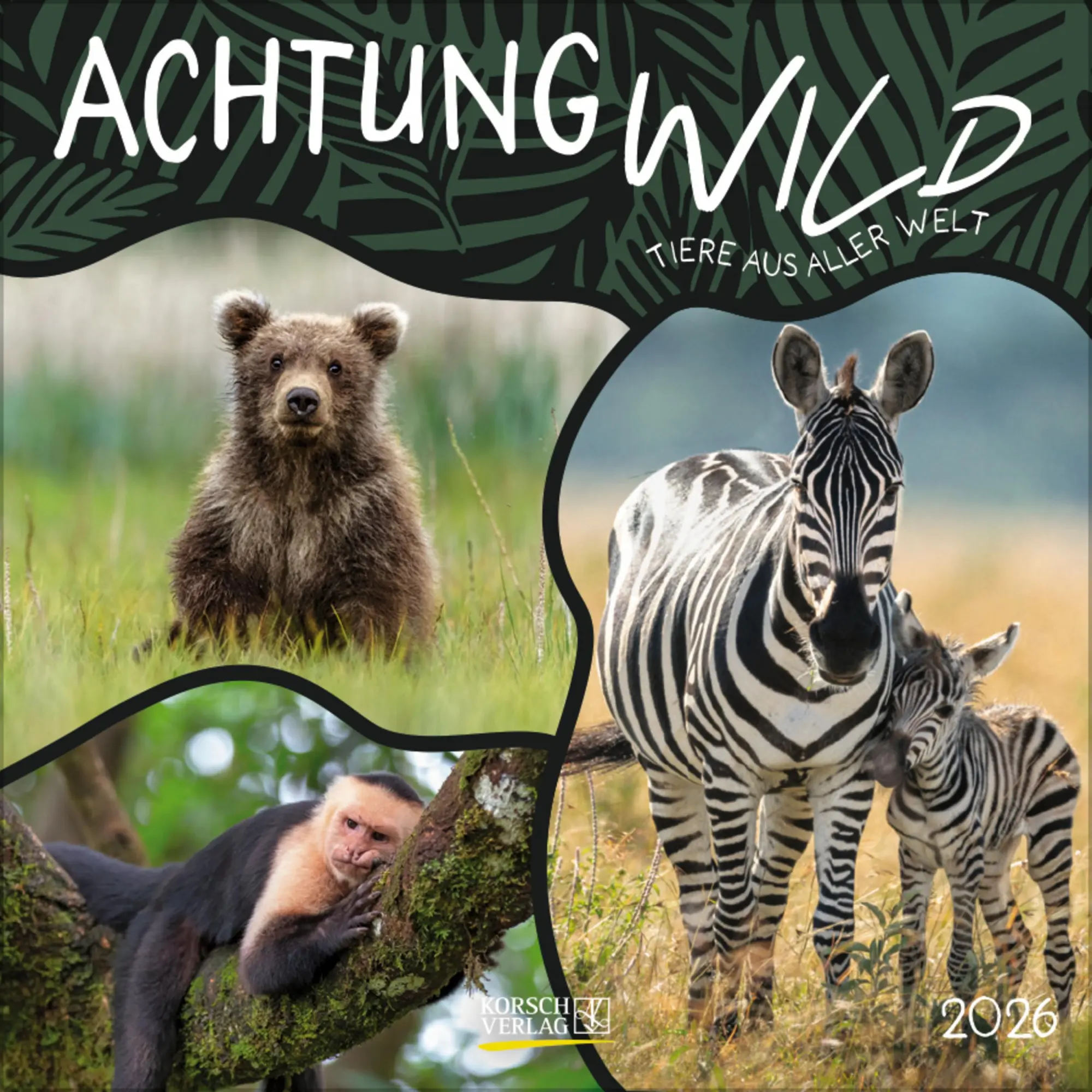 Cover: 9783731886662 | Achtung wild - Tiere aus aller Welt 2026 | Verlag Korsch | Kalender