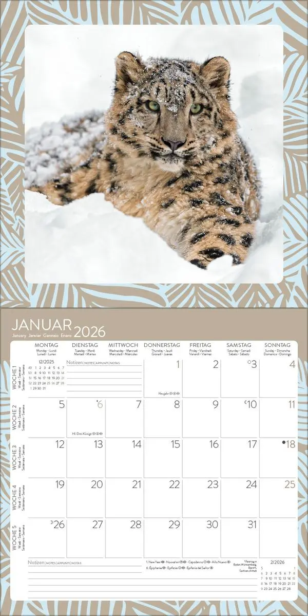 Bild: 9783731886662 | Achtung wild - Tiere aus aller Welt 2026 | Verlag Korsch | Kalender