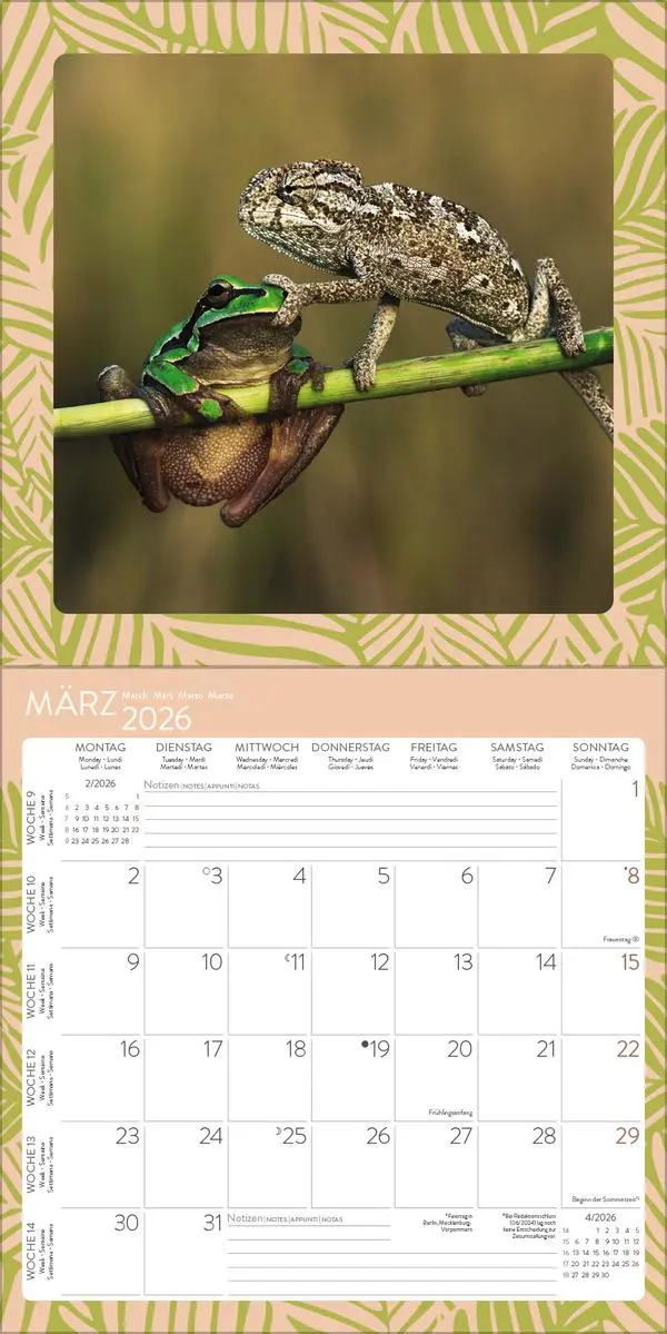 Bild: 9783731886662 | Achtung wild - Tiere aus aller Welt 2026 | Verlag Korsch | Kalender