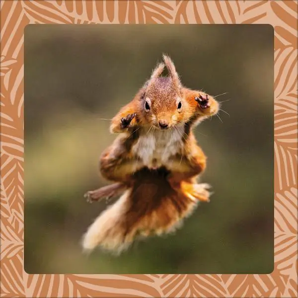 Bild: 9783731886662 | Achtung wild - Tiere aus aller Welt 2026 | Verlag Korsch | Kalender