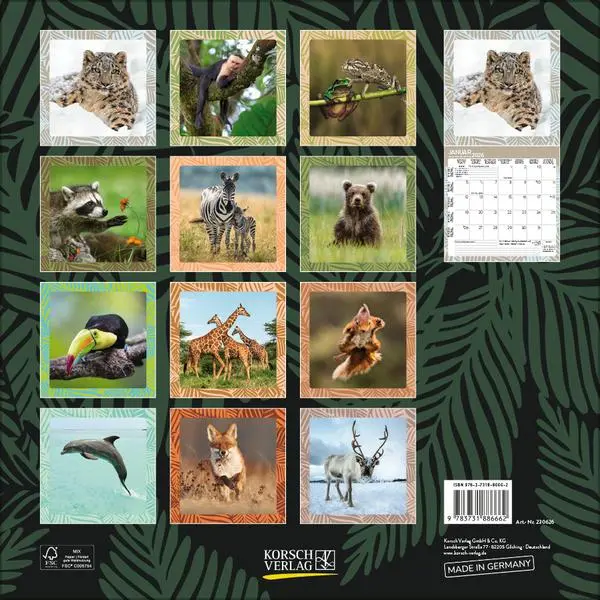 Bild: 9783731886662 | Achtung wild - Tiere aus aller Welt 2026 | Verlag Korsch | Kalender