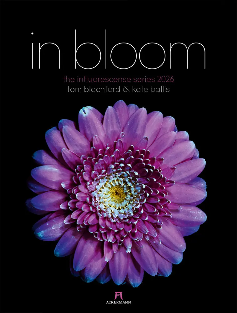 Cover: 9783838426662 | in bloom Kalender 2026 | Blachford (u. a.) | Kalender | Spiralbindung
