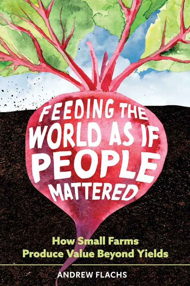 Cover: 9780816556762 | Feeding the World as If People Mattered | Andrew Flachs | Taschenbuch