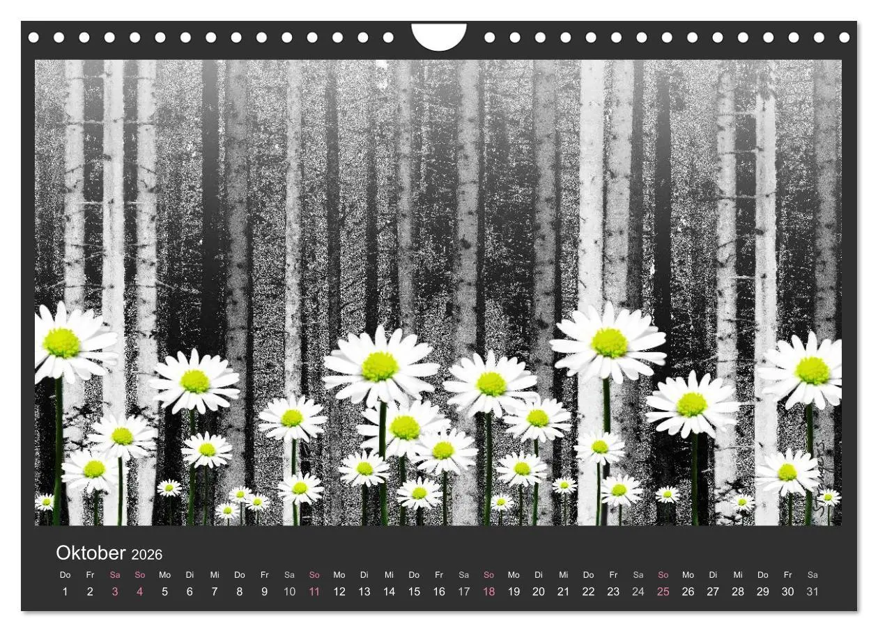 Bild: 9783516116762 | Schwarzwald. Anders. (Wandkalender 2026 DIN A4 quer), CALVENDO...