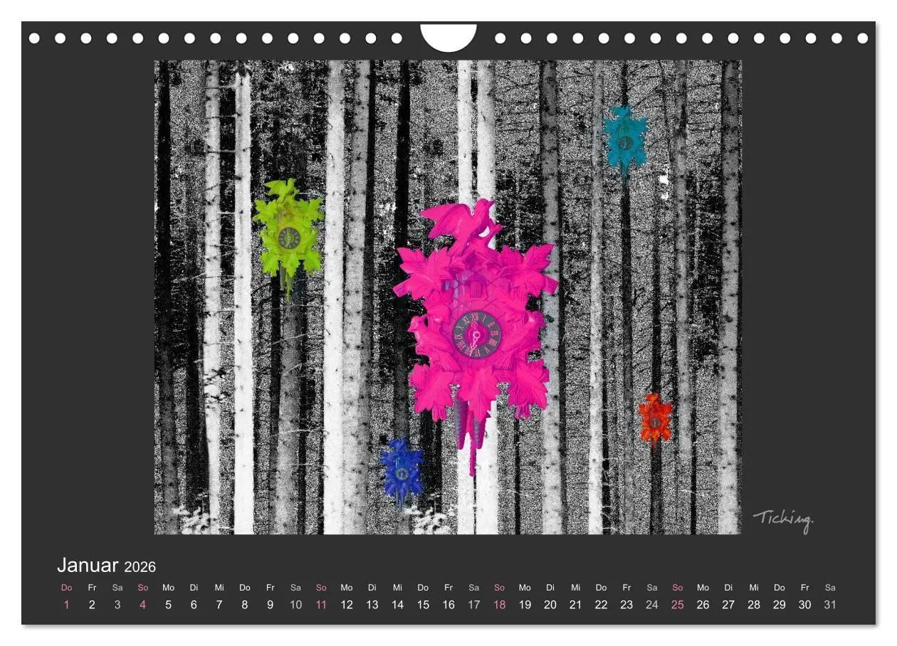 Bild: 9783516116762 | Schwarzwald. Anders. (Wandkalender 2026 DIN A4 quer), CALVENDO...