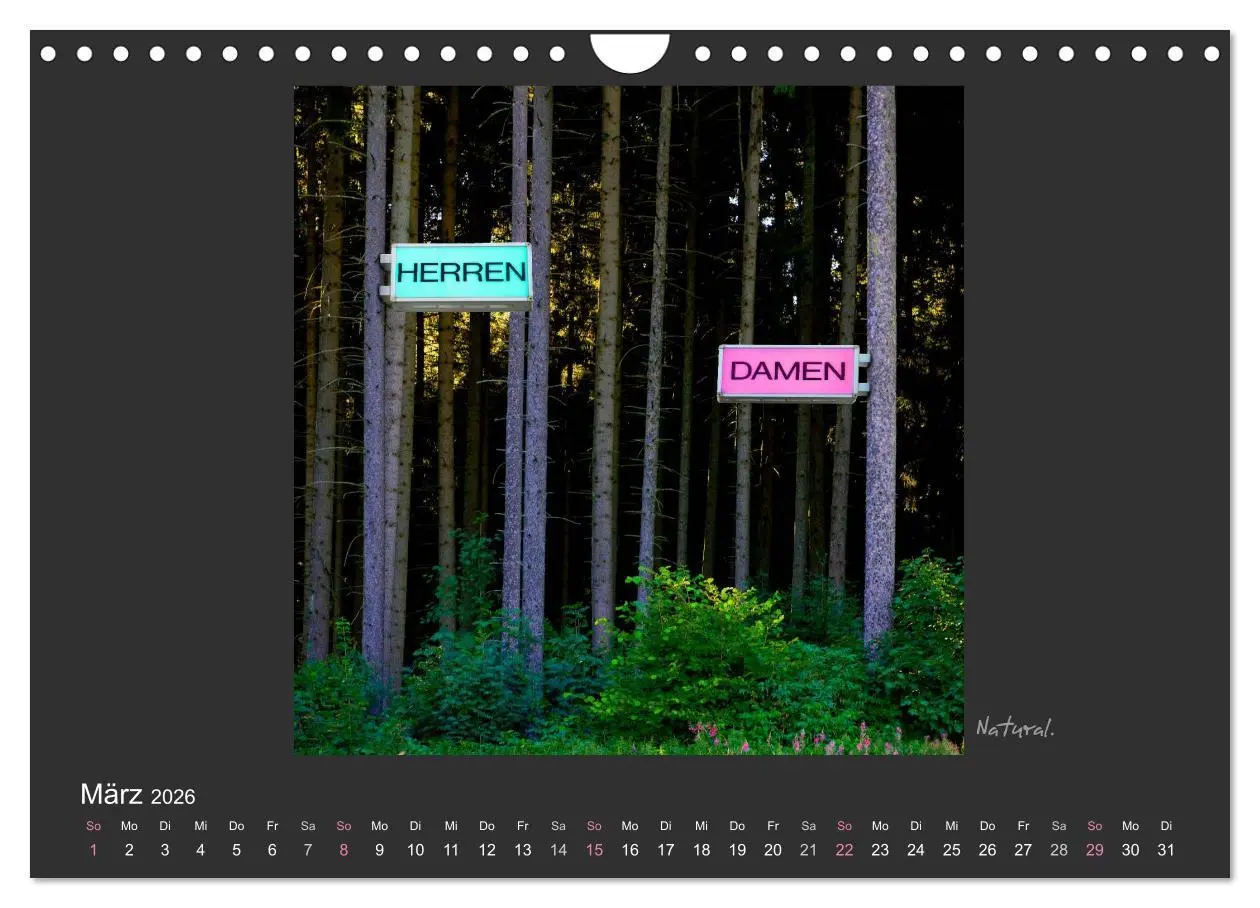 Bild: 9783516116762 | Schwarzwald. Anders. (Wandkalender 2026 DIN A4 quer), CALVENDO...