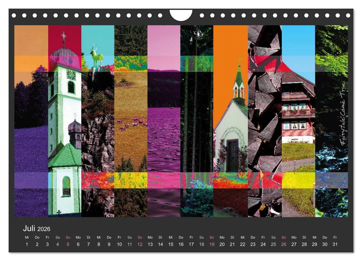 Bild: 9783516116762 | Schwarzwald. Anders. (Wandkalender 2026 DIN A4 quer), CALVENDO...