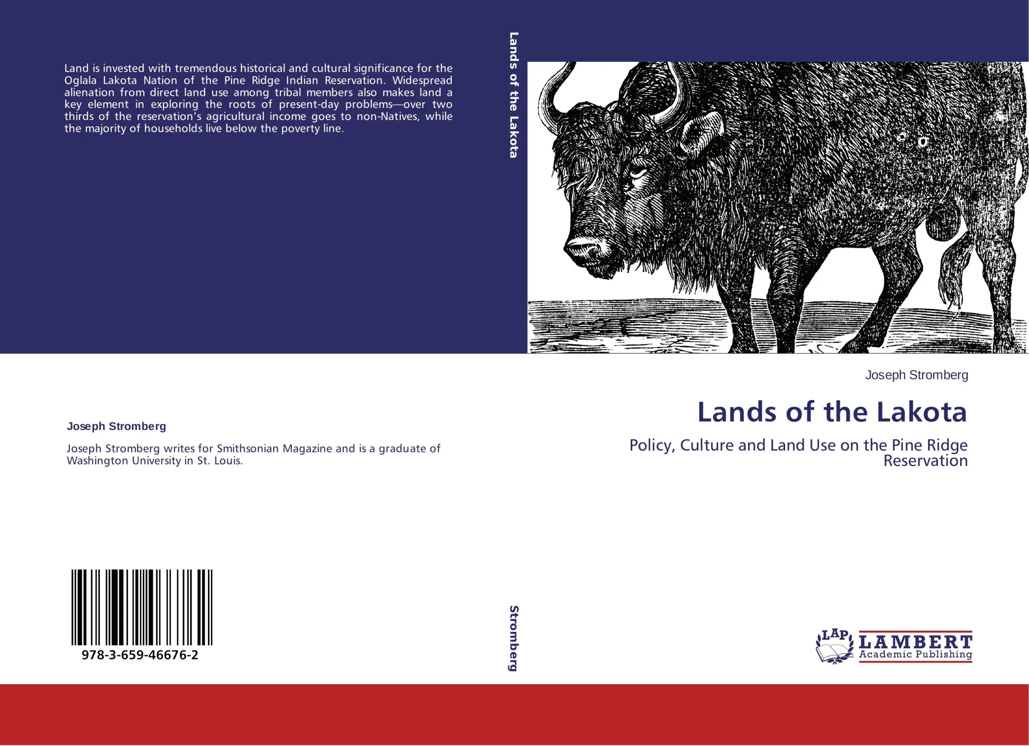 Cover: 9783659466762 | Lands of the Lakota | Joseph Stromberg | Taschenbuch | 128 S. | 2013