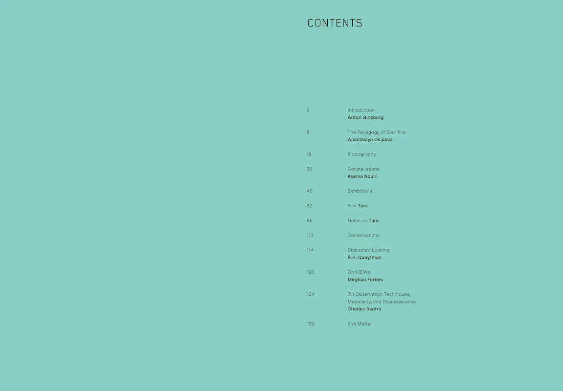 Bild: 9783775746762 | Anton Ginzburg | Blue Flame: Constructions and Initiatives | Ginzburg