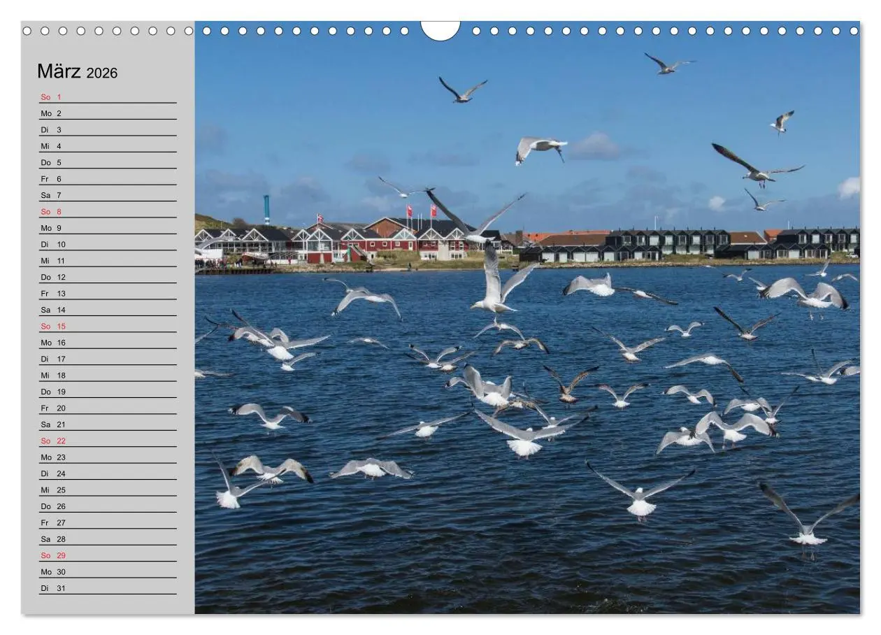 Bild: 9783457946862 | Dänemark - Umgebung von Hvide Sande (Wandkalender 2026 DIN A3...