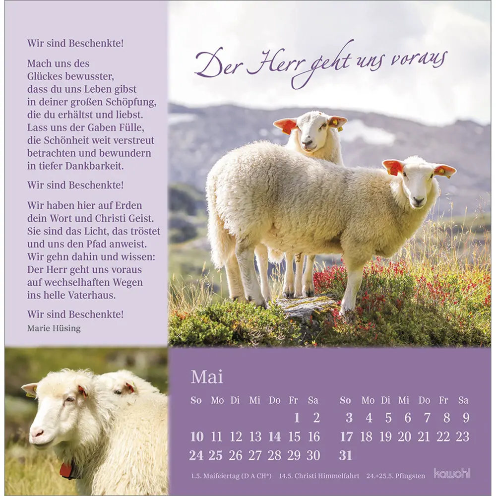 Bild: 9783754876862 | Sei behütet und gesegnet 2026 | Impulse und Gedanken zu Psalm 23