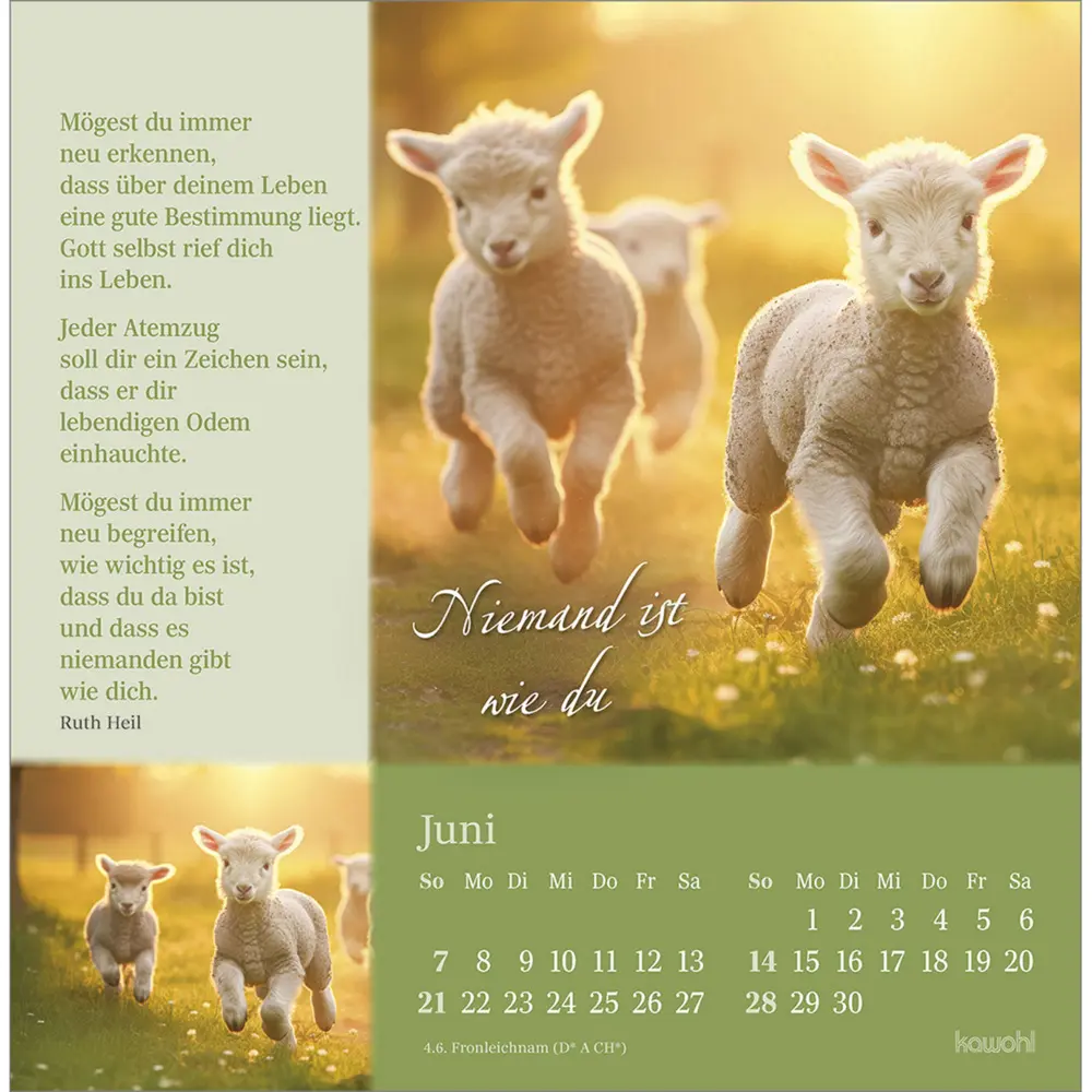 Bild: 9783754876862 | Sei behütet und gesegnet 2026 | Impulse und Gedanken zu Psalm 23