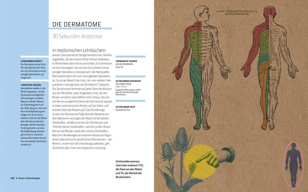 Bild: 9789463596862 | Anatomie und Medizin in 30 Sekunden | Gabrielle M. Finn | Buch | 2025