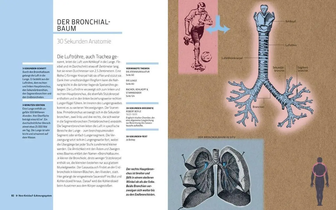 Bild: 9789463596862 | Anatomie und Medizin in 30 Sekunden | Gabrielle M. Finn | Buch | 2025