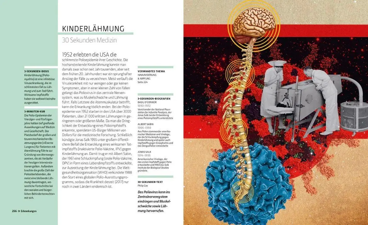 Bild: 9789463596862 | Anatomie und Medizin in 30 Sekunden | Gabrielle M. Finn | Buch | 2025