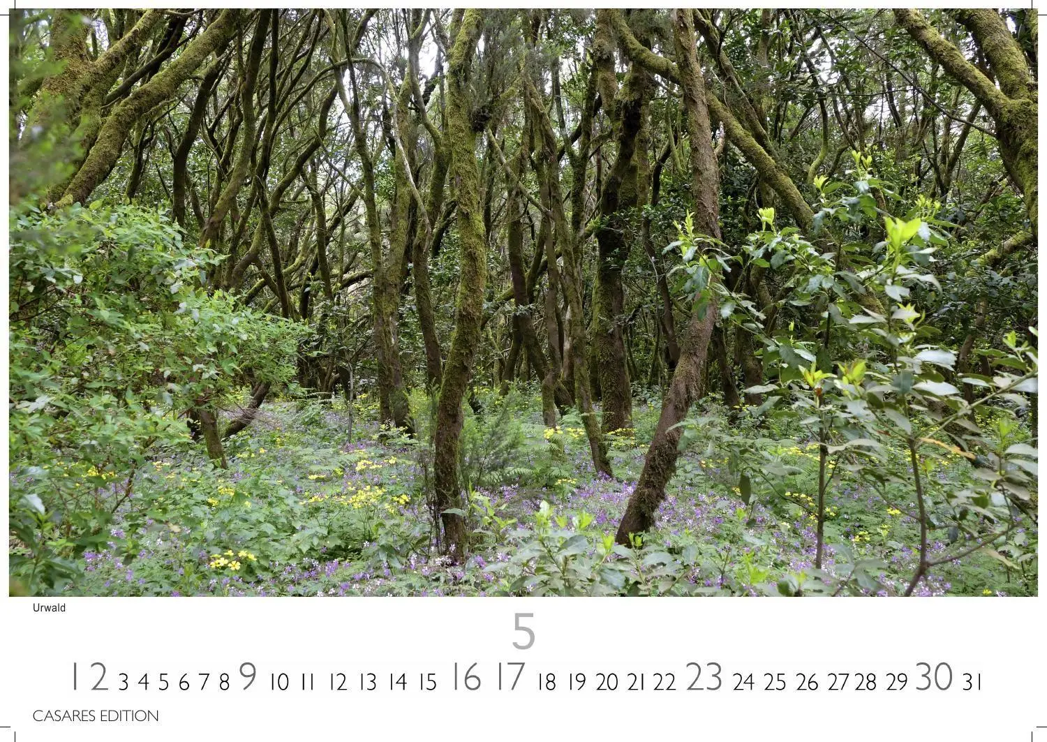 Bild: 9781835246962 | La Gomera Kalender 2027 - Wandkalender Fotokalender Spanien 24x35...