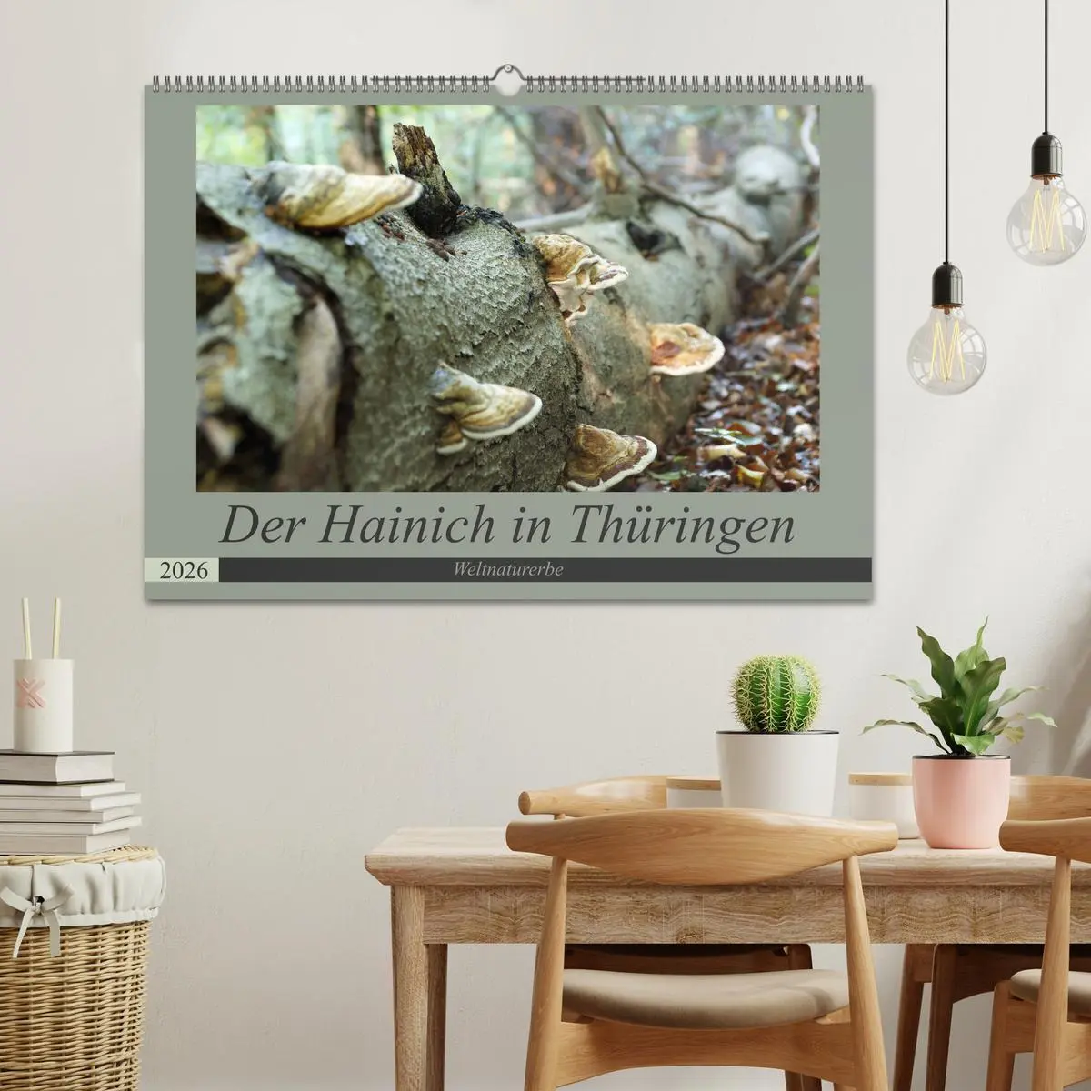 Bild: 9783457866962 | Der Hainich in Thüringen - Weltnaturerbe (Wandkalender 2026 DIN A2...