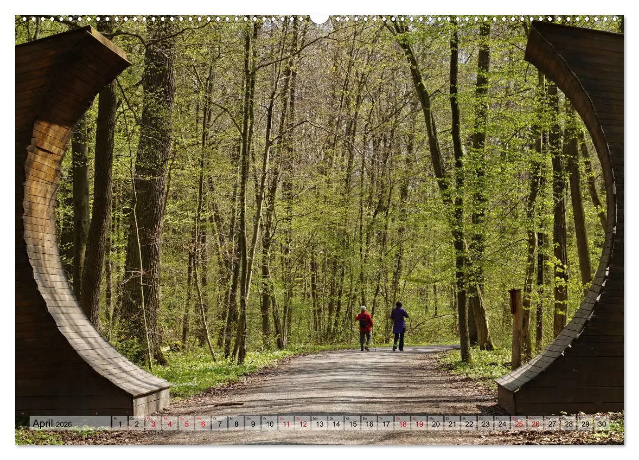 Bild: 9783457866962 | Der Hainich in Thüringen - Weltnaturerbe (Wandkalender 2026 DIN A2...