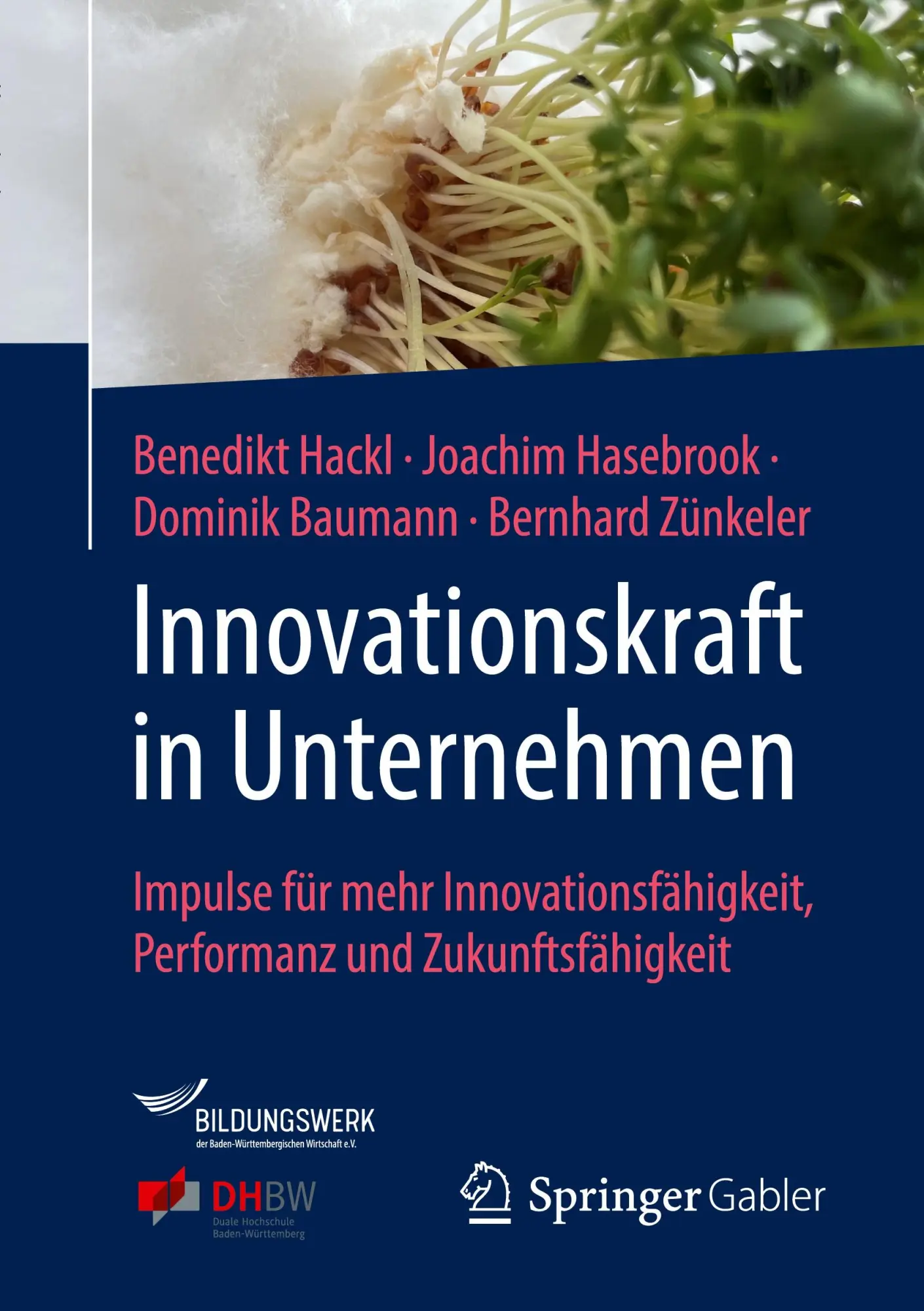 Cover: 9783658456962 | Innovationskraft in Unternehmen | Benedikt Hackl (u. a.) | Taschenbuch