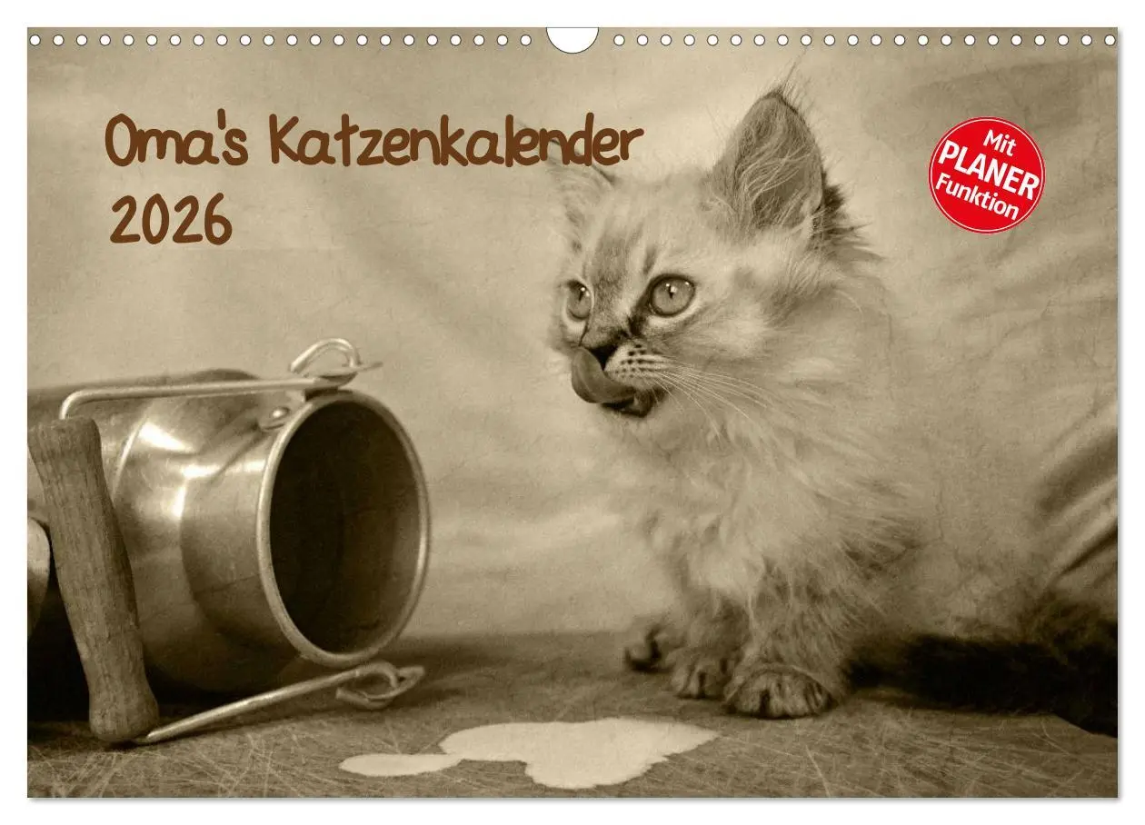 Cover: 9783457997062 | Oma's Katzenkalender 2026 (Wandkalender 2026 DIN A3 quer), CALVENDO...