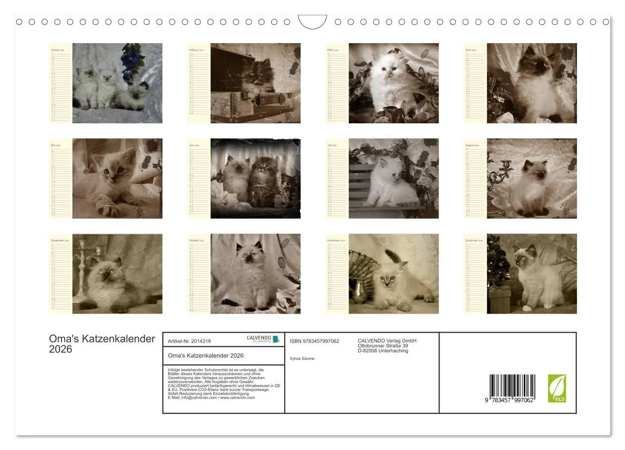 Bild: 9783457997062 | Oma's Katzenkalender 2026 (Wandkalender 2026 DIN A3 quer), CALVENDO...