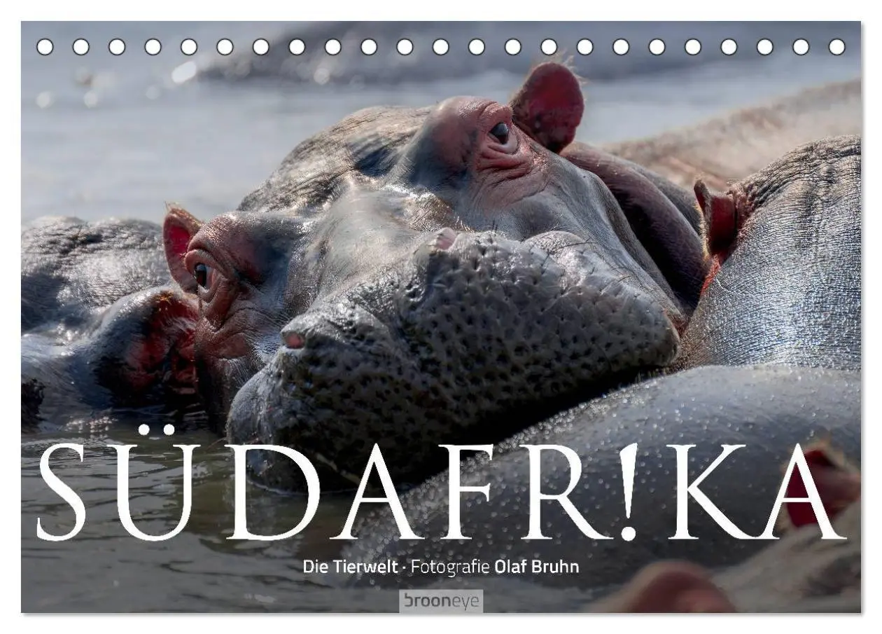 Cover: 9783516087062 | Südafrika - Die Tierwelt (Tischkalender 2026 DIN A5 quer), CALVENDO...