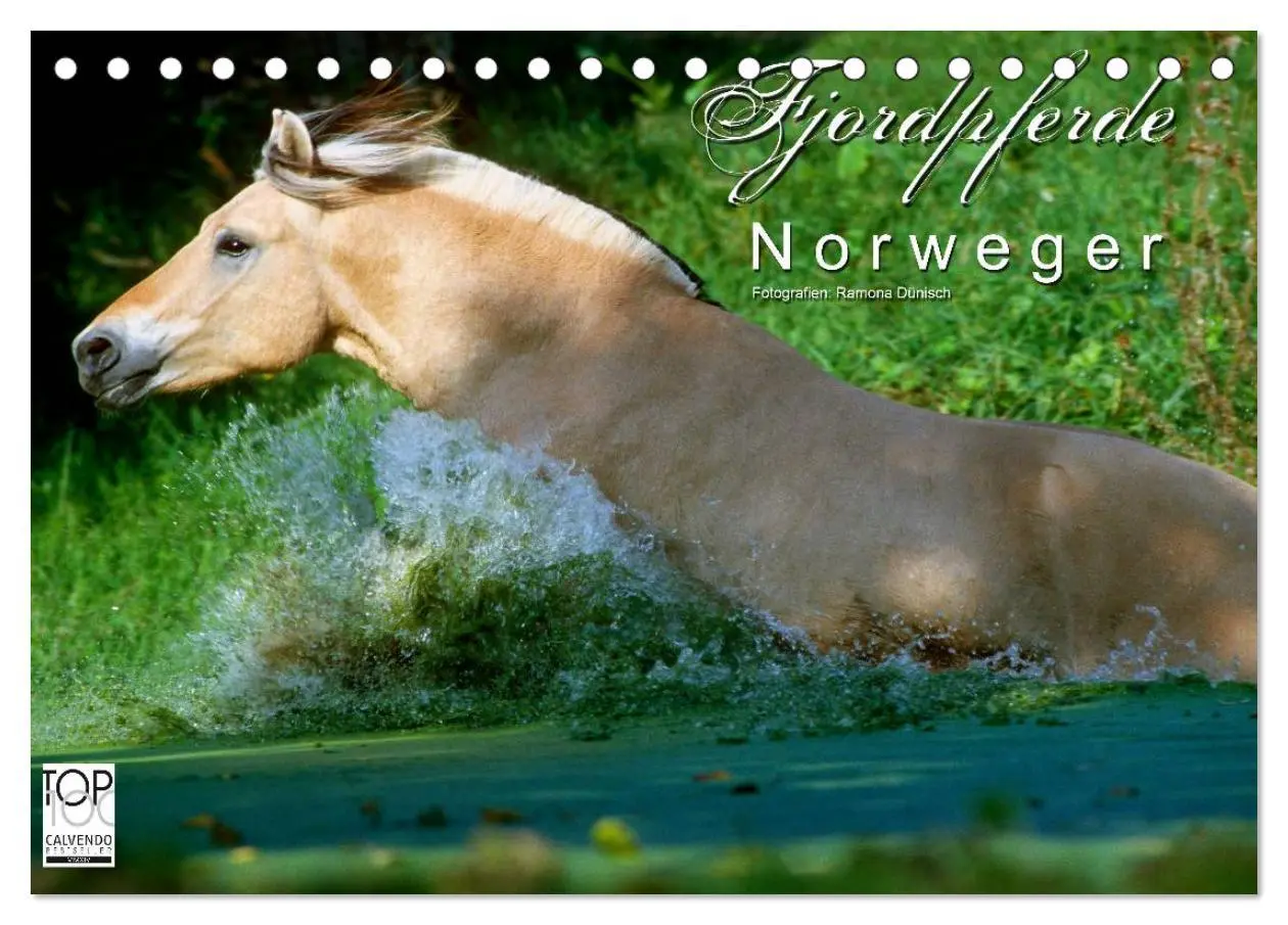 Cover: 9783516157062 | Fjordpferde - Norweger (Tischkalender 2026 DIN A5 quer), CALVENDO...