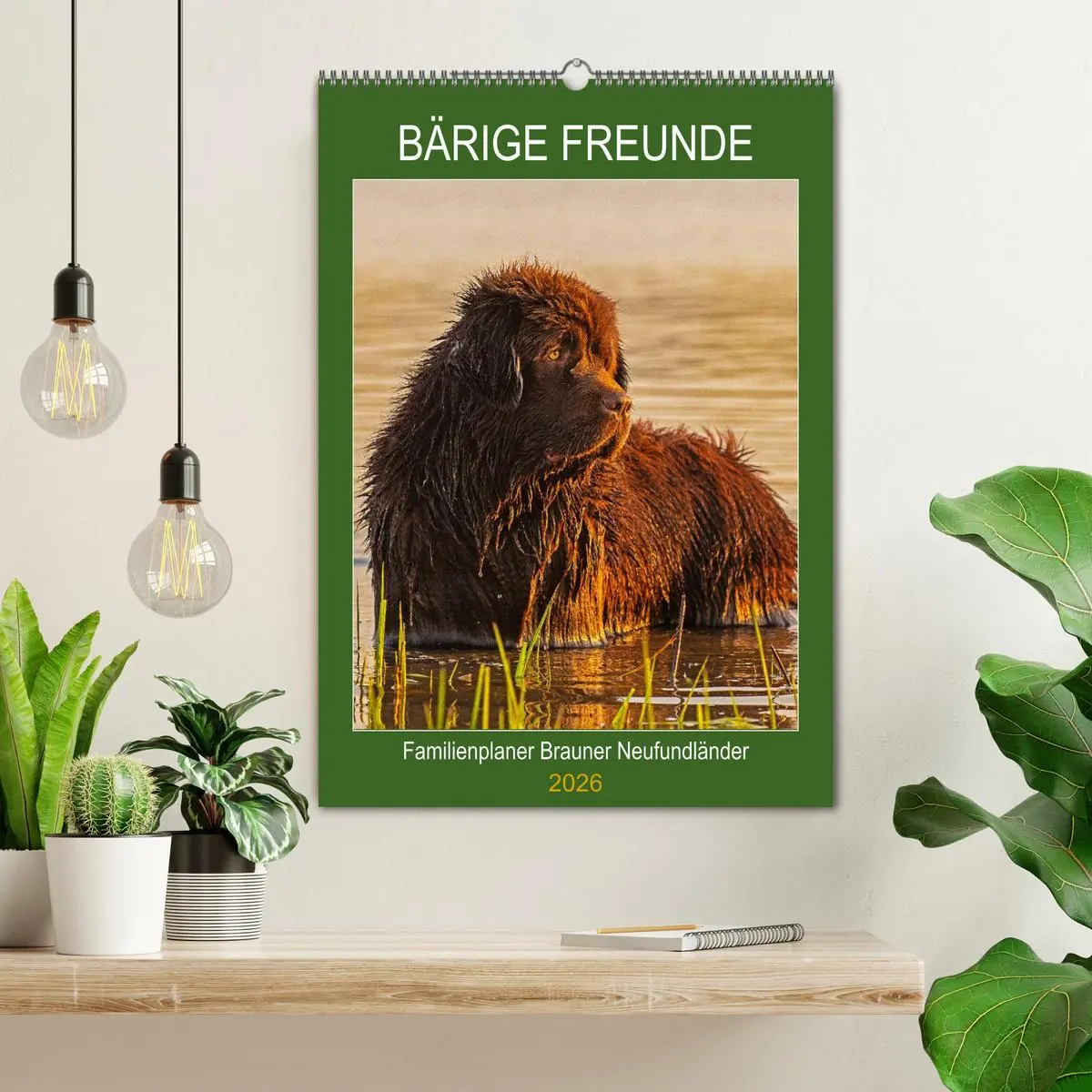 Bild: 9783516387162 | Bärige Freunde - Familienplaner Brauner Neufundländer (Wandkalender...