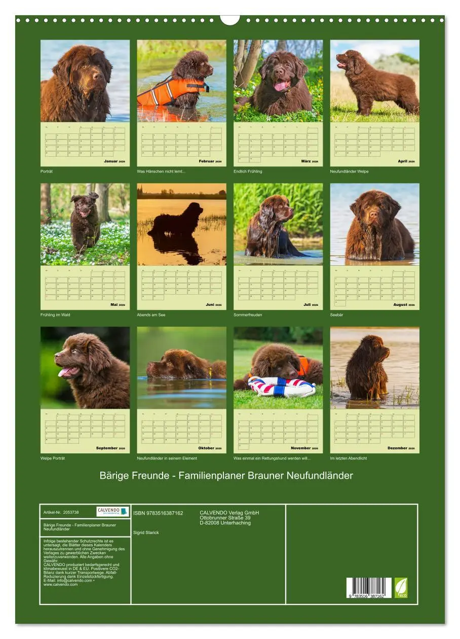 Bild: 9783516387162 | Bärige Freunde - Familienplaner Brauner Neufundländer (Wandkalender...