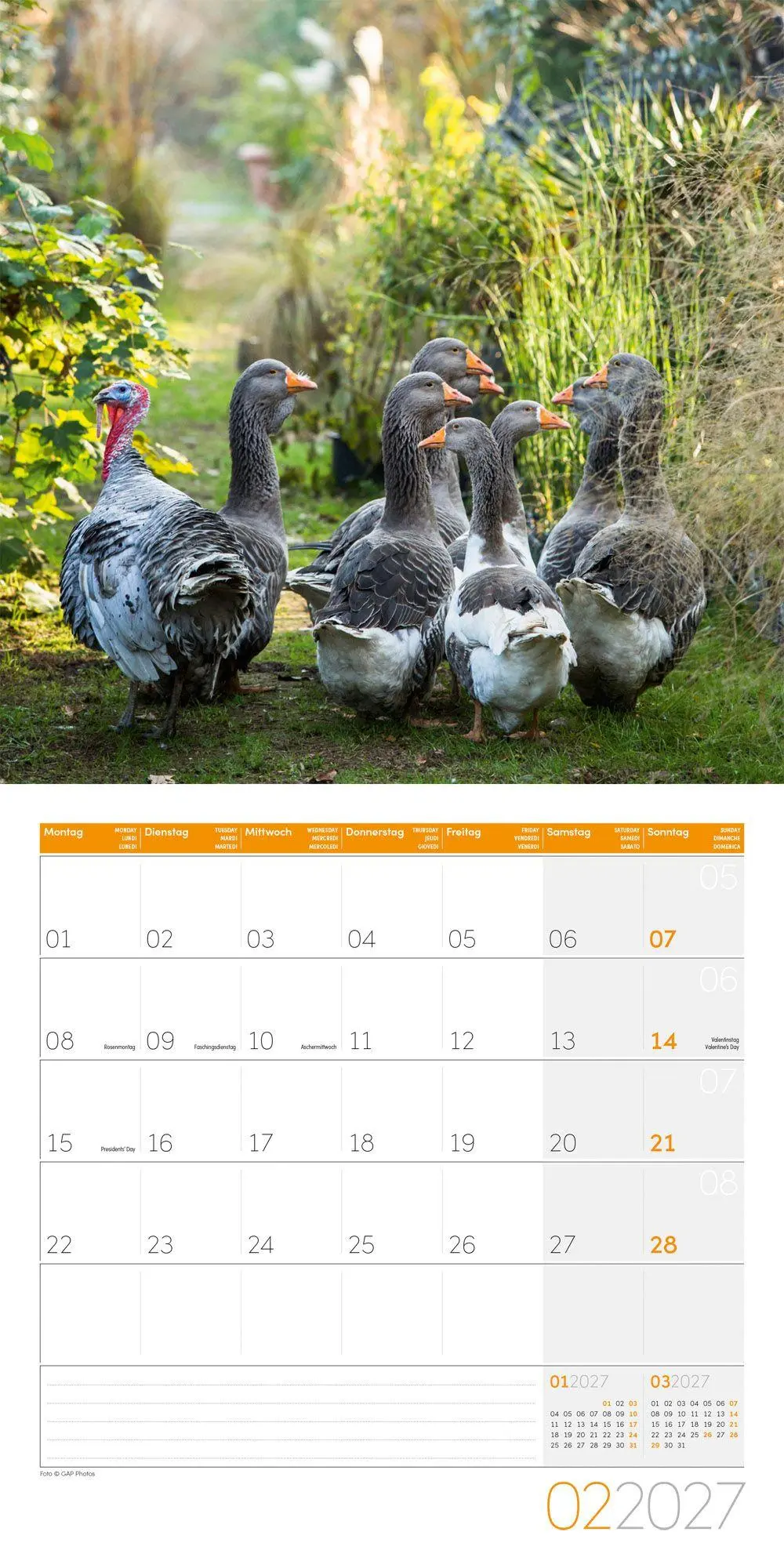 Bild: 9783838447162 | Landleben Kalender 2027 - 30x30 - Art12 | Ackermann Kunstverlag GmbH