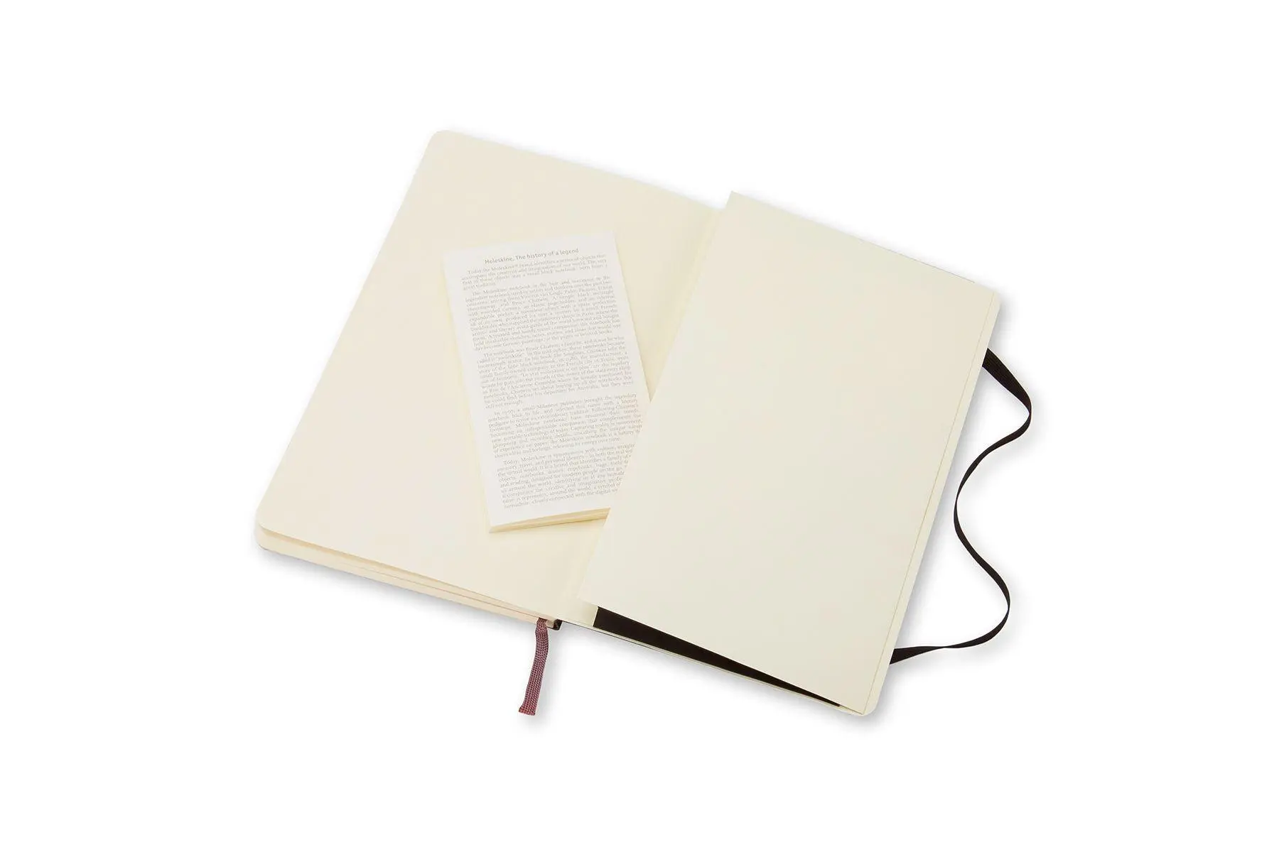 Bild: 9788883707162 | Moleskine. Notizbuch liniert groß | Moleskine | Notizbuch | 192 S.