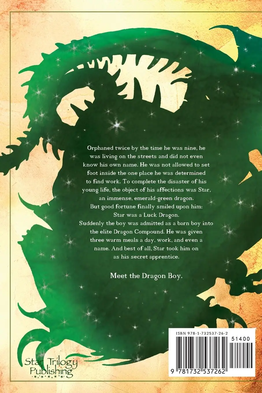Rückseite: 9781732537262 | The Dragon Boy | Book One of the Star Trilogy | Donald Samson | Buch