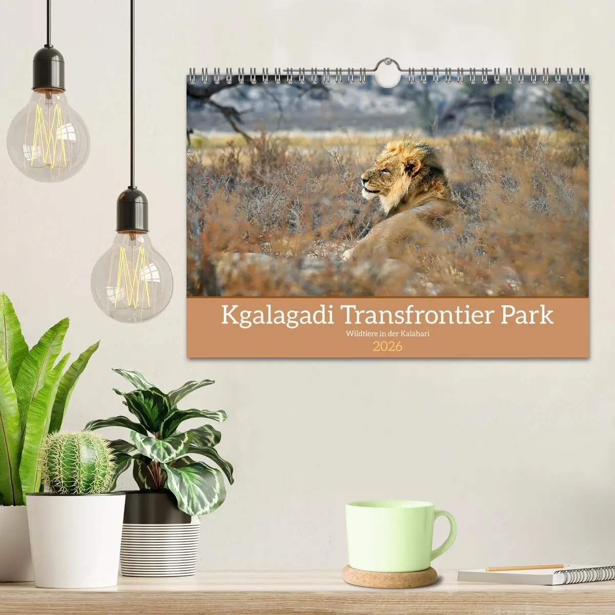 Bild: 9783457357262 | Kgalagadi - Fauna und Wildtiere in der Kalahari (Wandkalender 2026...