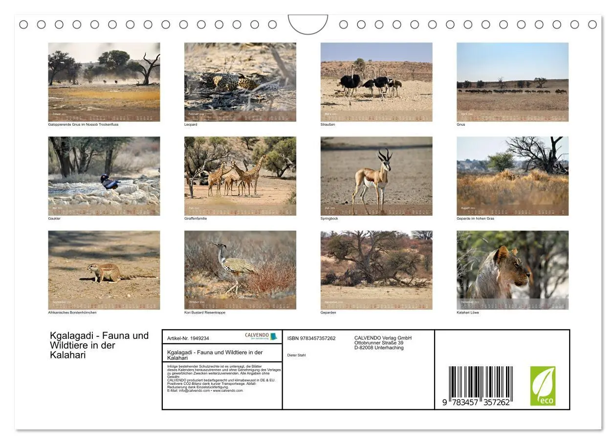 Bild: 9783457357262 | Kgalagadi - Fauna und Wildtiere in der Kalahari (Wandkalender 2026...