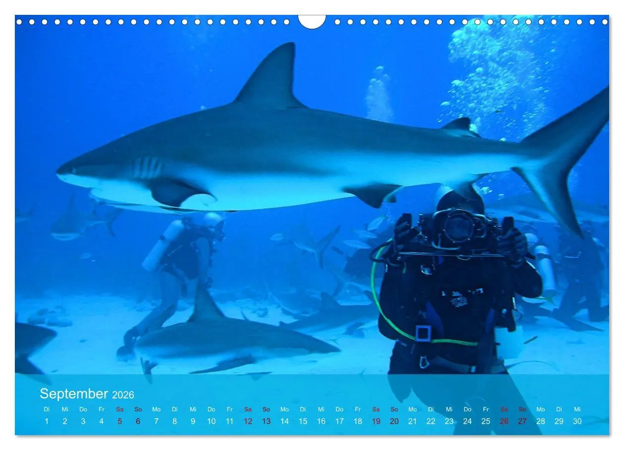 Bild: 9783457597262 | Erlebnis Tauchen - faszinierende Unterwasserwelt (Wandkalender 2026...