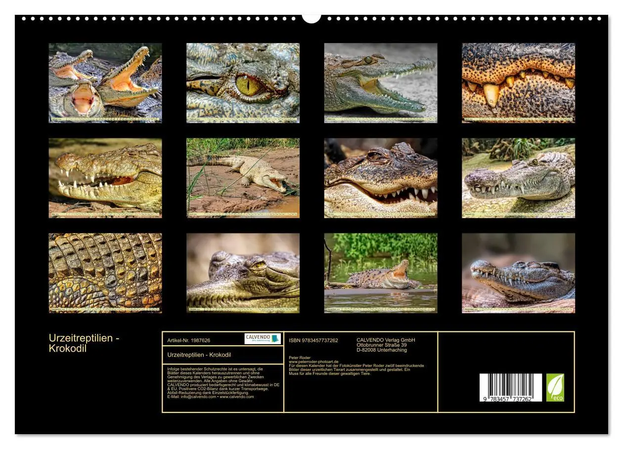 Bild: 9783457737262 | Urzeitreptilien - Krokodil (hochwertiger Premium Wandkalender 2026...